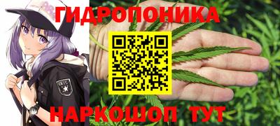эйфоретик Краснодар