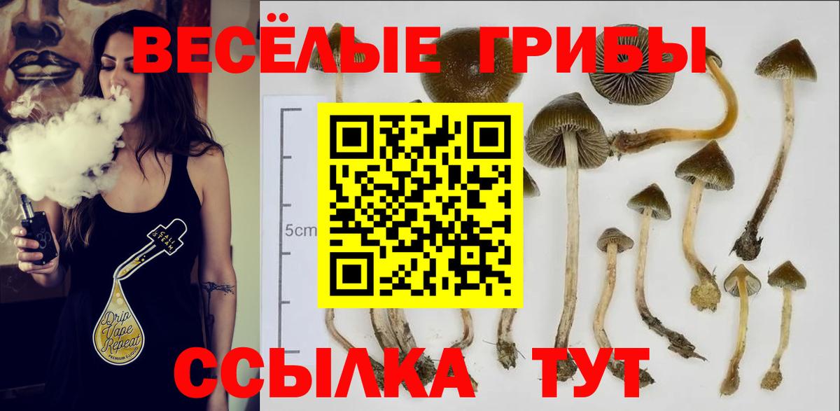 Галлюциногенные грибы ЛСД Котлас