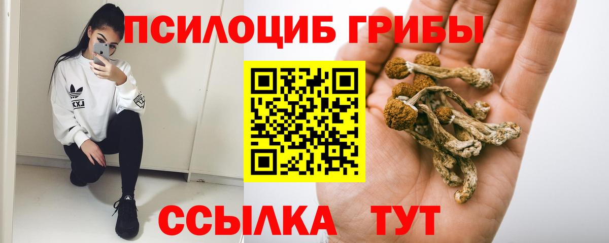 Галлюциногенные грибы Cubensis  Вход с VPN  Котлас 