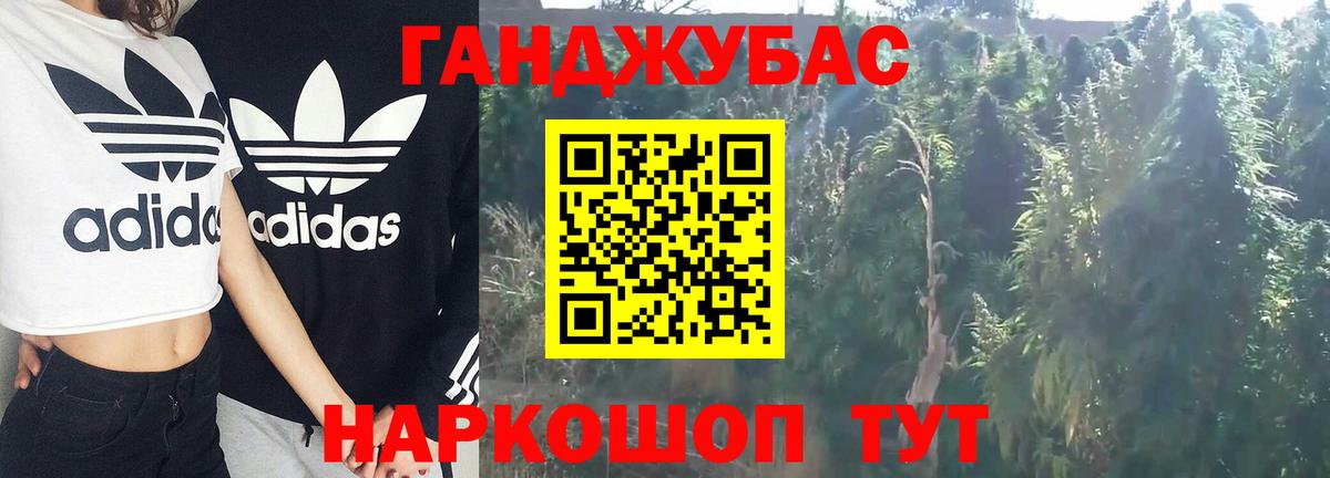 Шишки марихуана тримм  Вход с VPN  Котлас  Бошки Шишки план  Бошки Шишки семена 