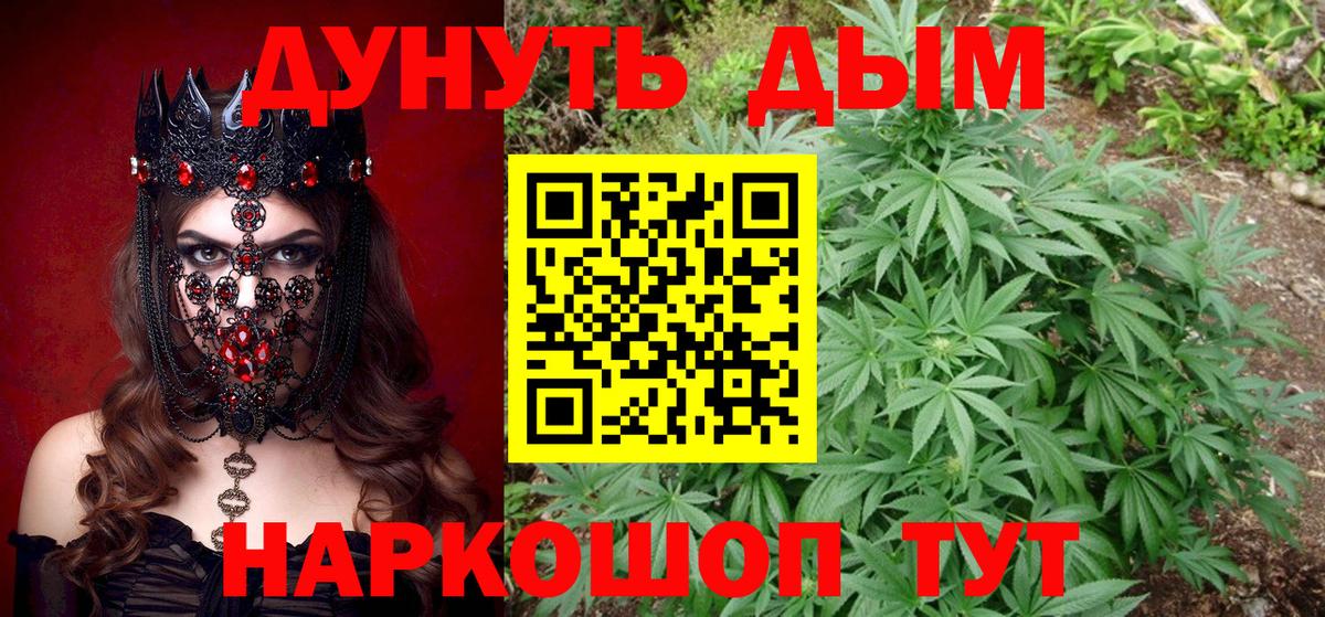 Каннабис сатива Котлас